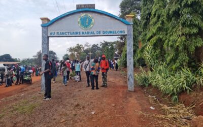 Diocèse de Bafoussam: Pelerinage annuel